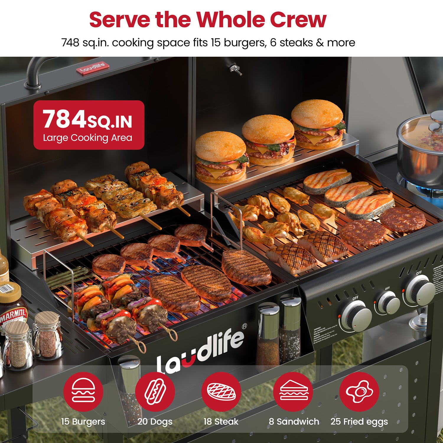 Fusion Gas & Charcoal Grill