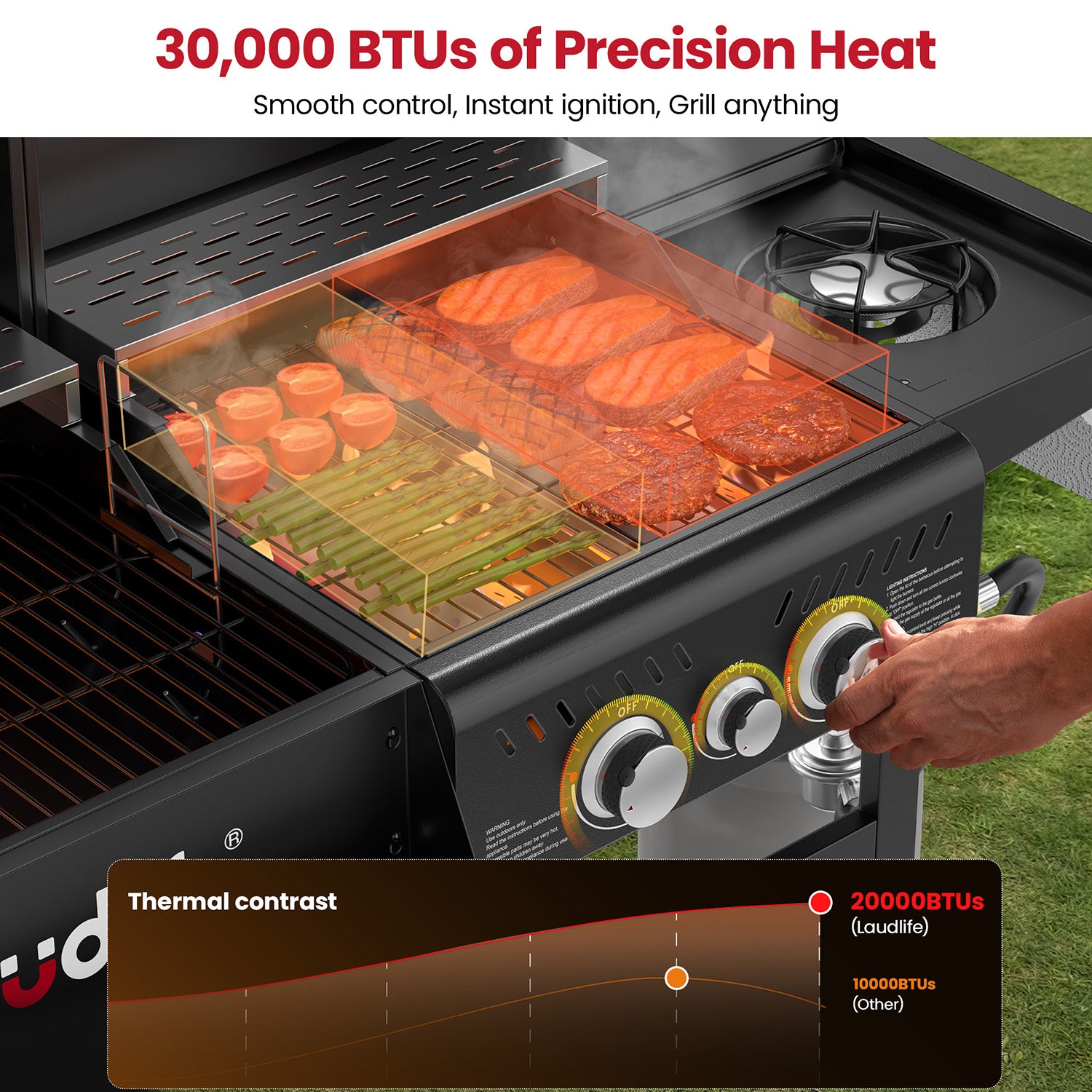 Fusion Gas & Charcoal Grill