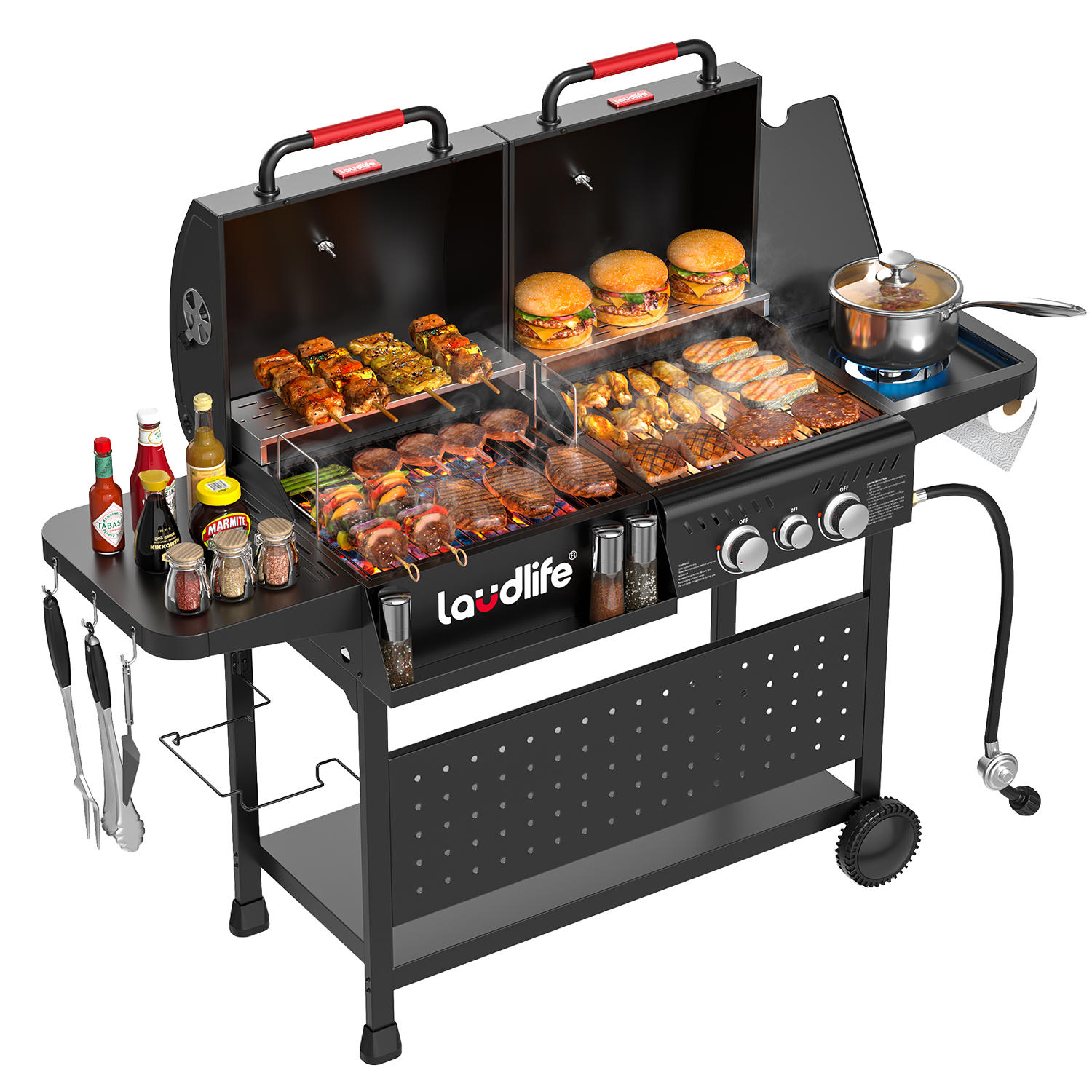 Fusion Gas & Charcoal Grill