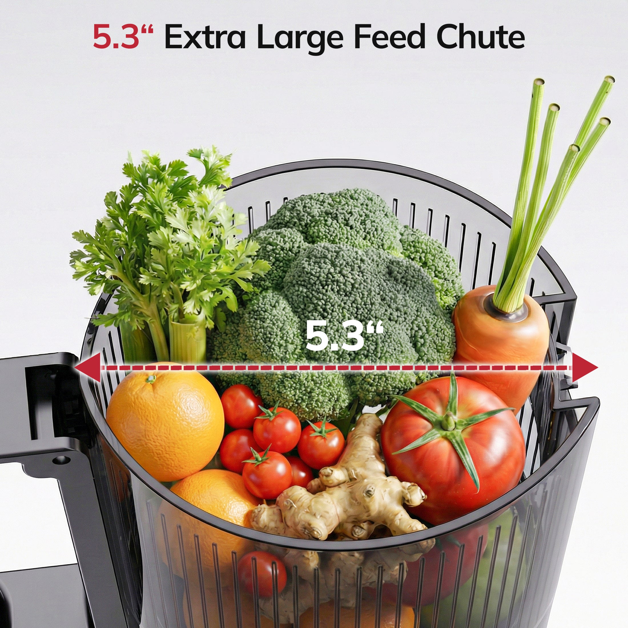 5.4" Cold Press Juicer Machine