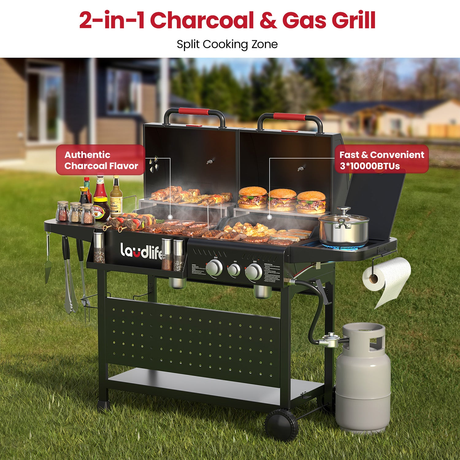Fusion Gas & Charcoal Grill